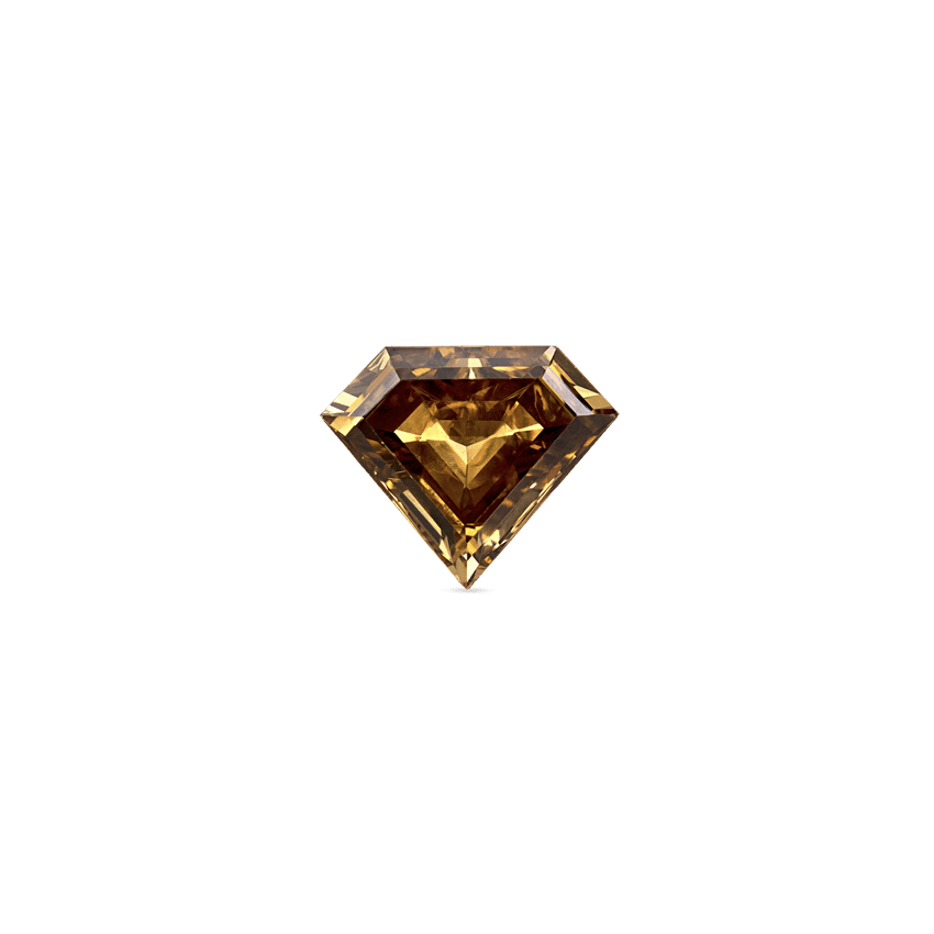 Invisible Set Silhouette Cognac Diamond Threaded Stud