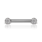 Cubic Zirconia Engraved Nipple Barbell